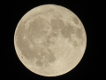 Super Moon